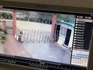 赞赏